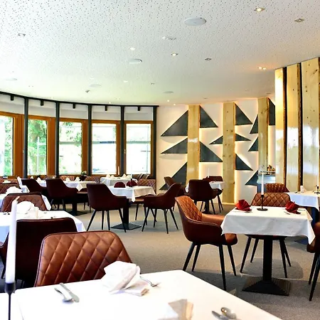 Hotel Montanie Resort Desna (Liberec)