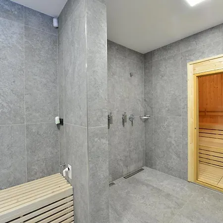Montanie Resort 4* Desna (Liberec)