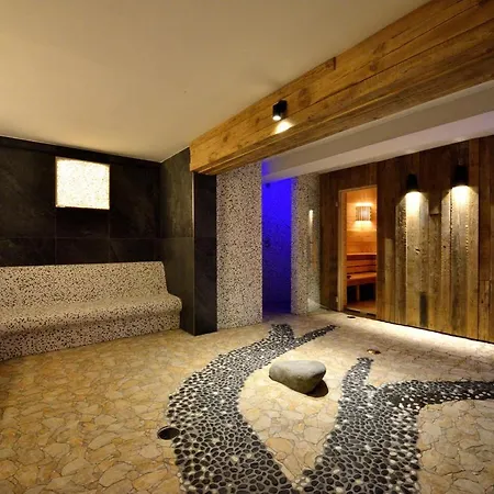 Hotel Montanie 4*