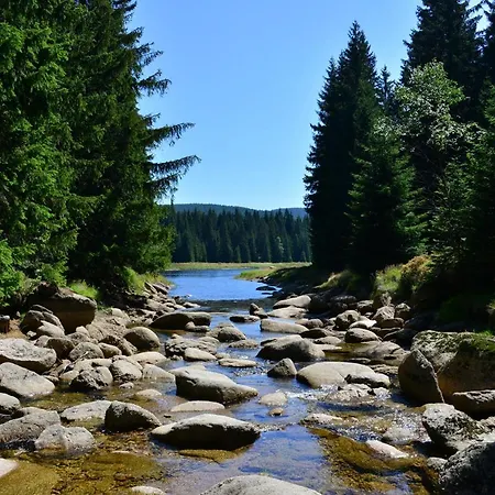 Montanie 4*