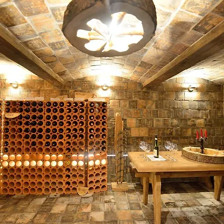 Hotel Montanie Resort Desna (Liberec)